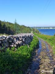 Murphy's Cove to Lodge's Pond Trail