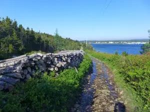 Murphy's Cove to Lodge's Pond Trail