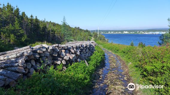 Murphy's Cove to Lodge's Pond Trail