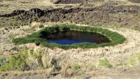 Diamond Craters Outstanding Natural Area