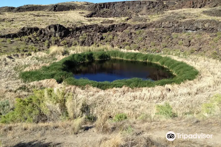 Diamond Craters Outstanding Natural Area