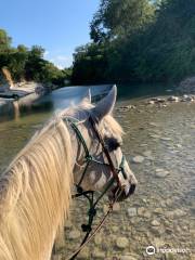 Maverick Horseback Riding