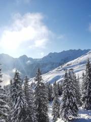 Alpbachtal-Wildschönau