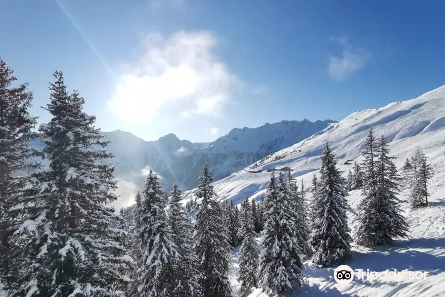 Ski Juwel Alpbachtal Wildschonau