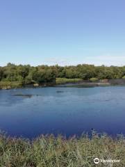 Blackleach Country Park