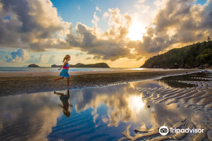 Cape Hillsborough National Park