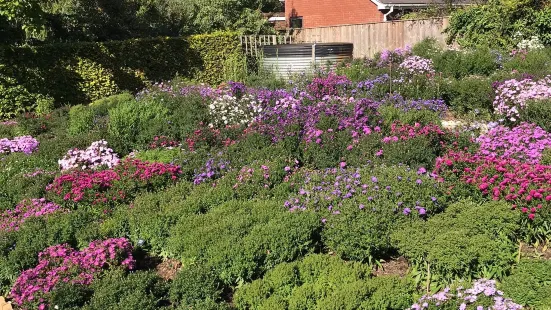 Old Court Nurseries & Picton Garden