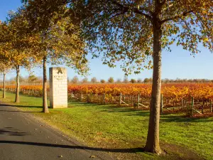 Rymill Coonawarra