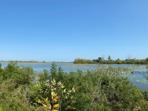 Ottawa National Wildlife Refuge Visitor Center