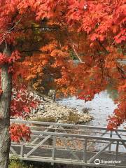 Red Hills State Park