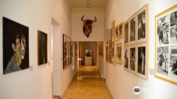 Museum des cultures taurines