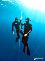 Freedive Dahab