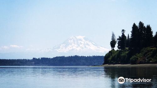 Tolmie State Park