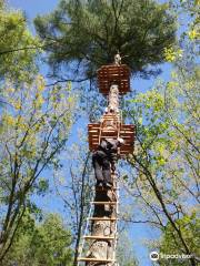 Treetop Trekking Ganaraska