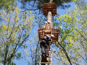 Treetop Trekking Ganaraska