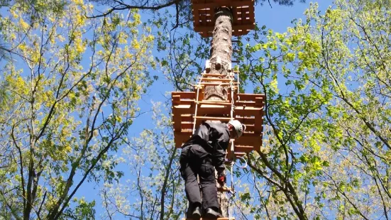 Treetop Trekking - Ganaraska
