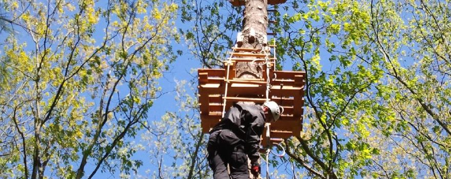 Treetop Trekking Ganaraska