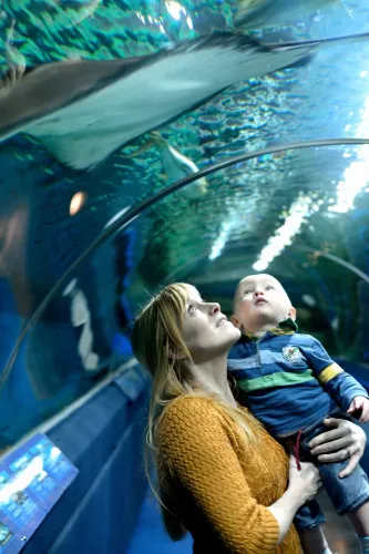 Blue Planet Aquarium