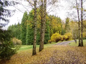 Arboretum Borova Hora