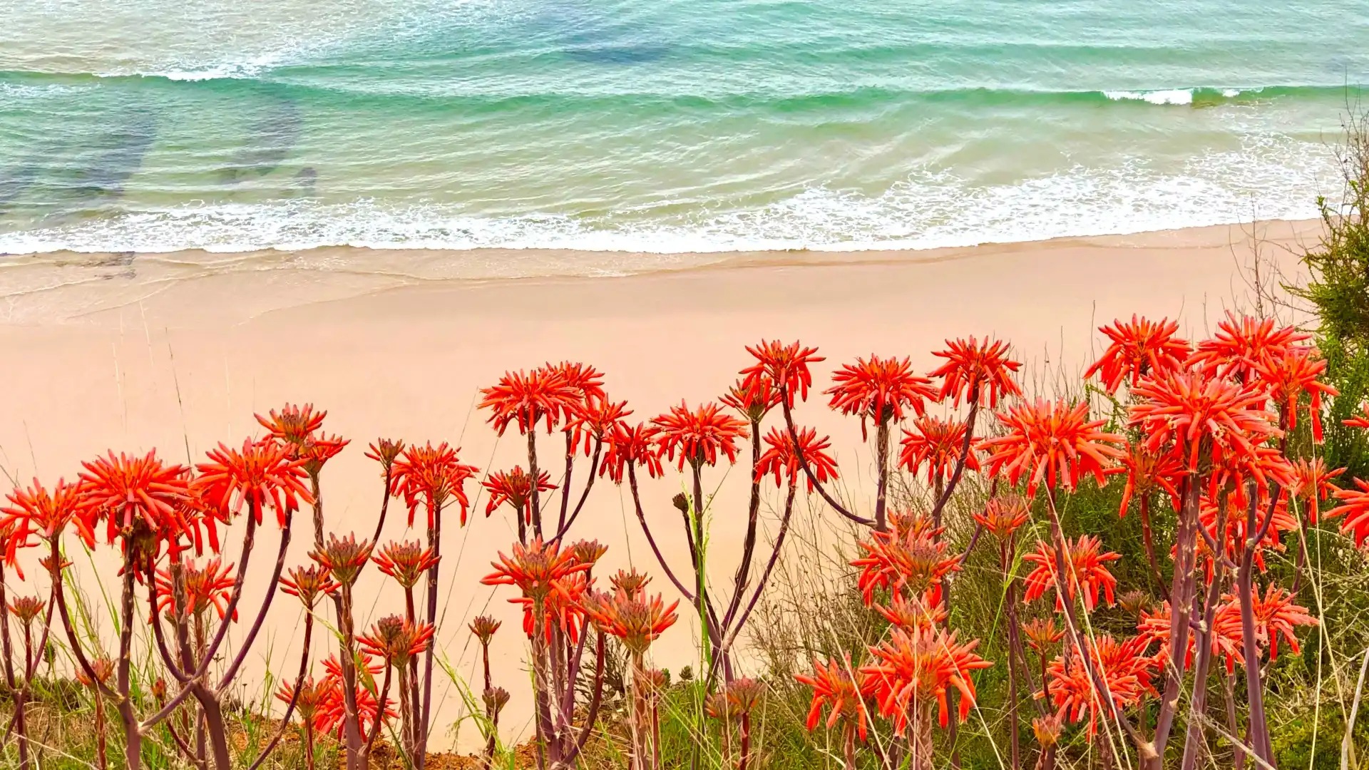 Hotels near Praia do Canavial
