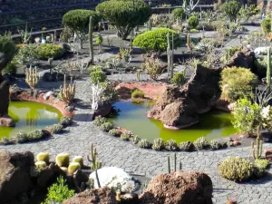 Giardino dei Cactus di Lanzarote