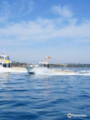Proline Fishing Charters