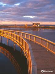 Beresford Boardwalk