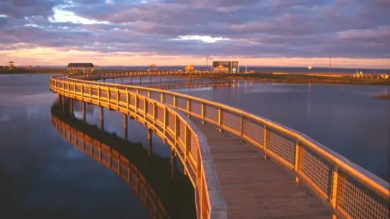 Beresford Boardwalk