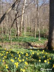 Aullwood Garden MetroPark