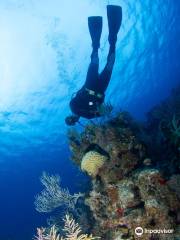 Grand Turk Diving Company