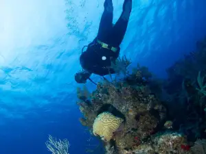 Grand Turk Diving