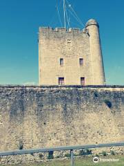 Fort Vauban de Fouras