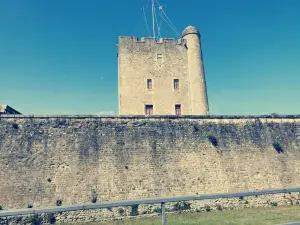 Fouras Fort