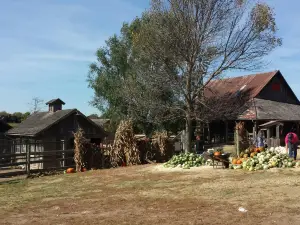 Weston Red Barn Farm