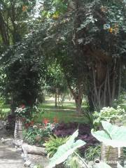 Jardin Botanico