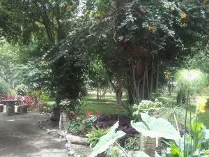 Jardin Botanico