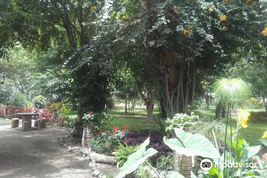 Jardin Botanico