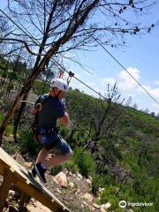 Zipline in Plett (Pty) Ltd