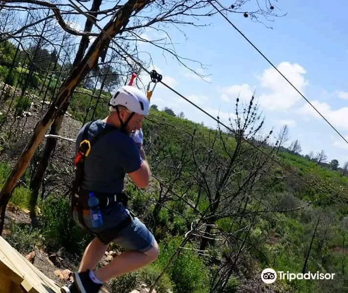 Zipline in Plett (Pty) Ltd