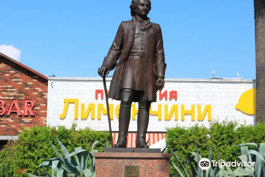 Monument to Peter the Great. Sochi.