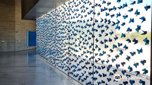 Centro de Creacion Contemporanea de Andalucia (C3A)