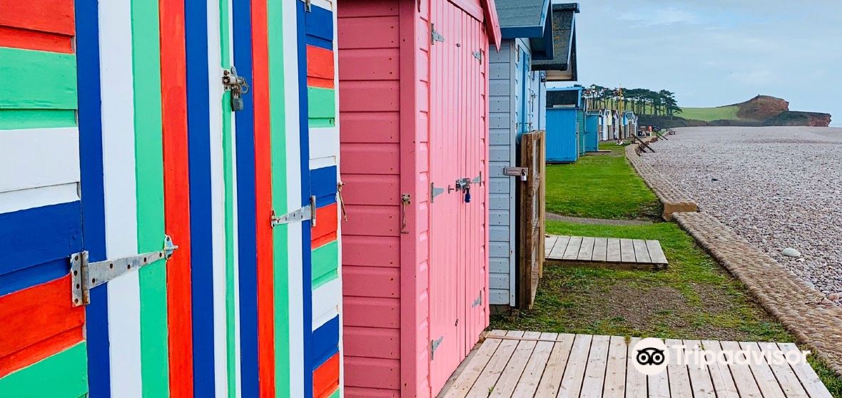 Budleigh Salterton Travel Guide 2024 Things to Do, What To Eat & Tips