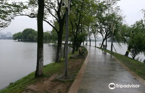 天井湖遊樂園魔幻噴球車票大小同價