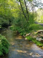 Beaver Dam Creek Trail