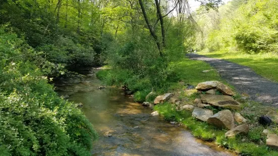 Beaver Dam Creek Walking Trail