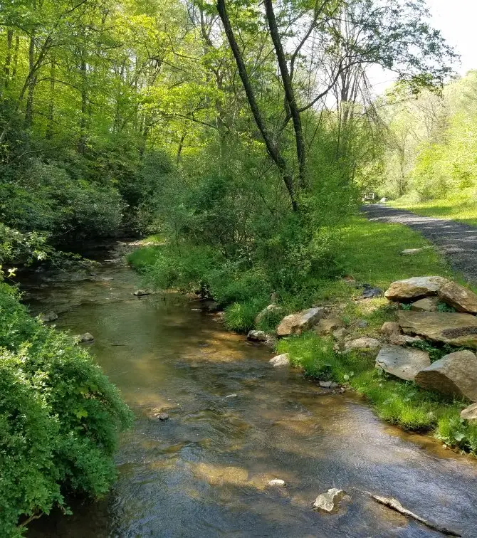 Pine Creek