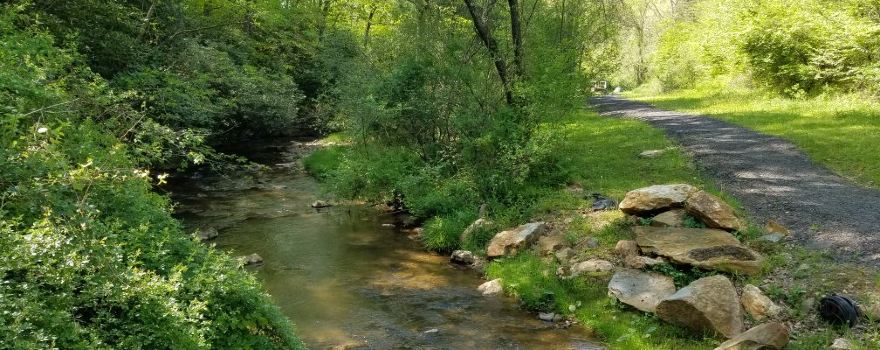Pine Creek