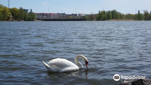 Toolo Bay (Toolonlahti)