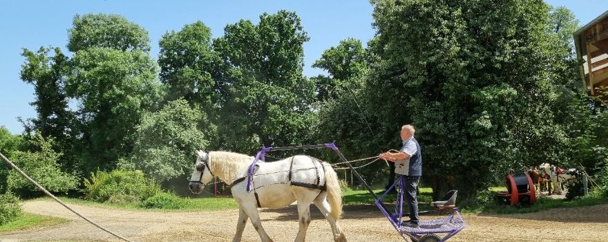 La Ferme du Cheval de Trait