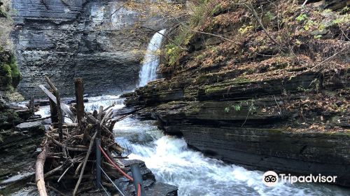 Eagle Cliff Falls